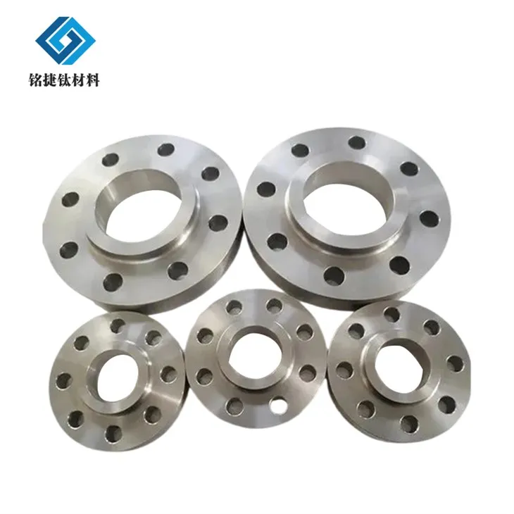 Gr4 Titanium Flange