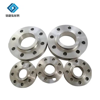 Gr4 Titanium Flange